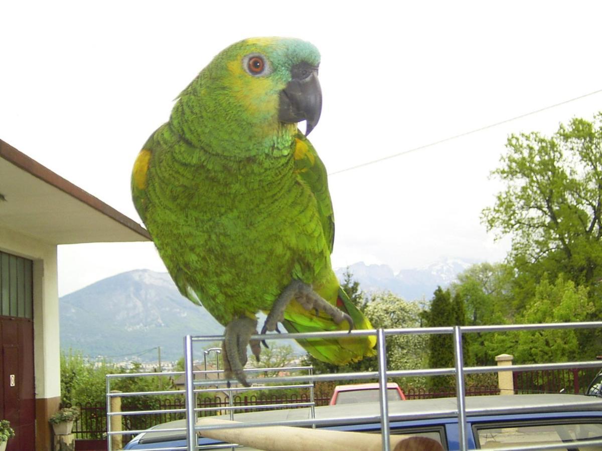 לינה וארוחת בוקר Le Paon Bleu Annecy Poisy מראה חיצוני תמונה